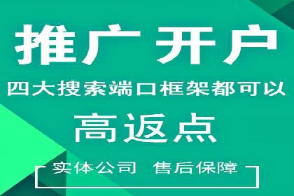 SEM推广策略：实战案例解析